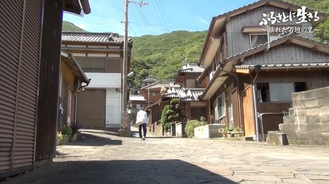 【写真・画像】何度崩れても積み直す…「石垣の里」の人々が守る“価値ある風景” 「孤立します、必ず」巨大地震想定で直面する厳しい現実も　4枚目