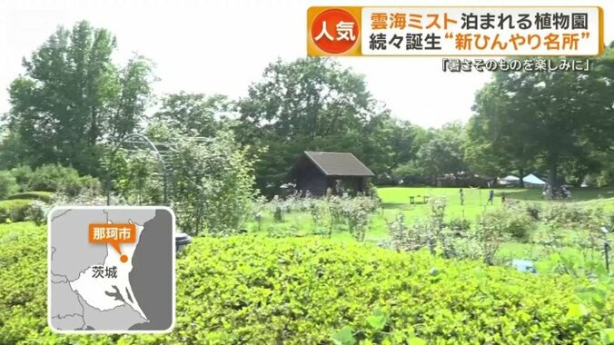 茨城県那珂市の植物園