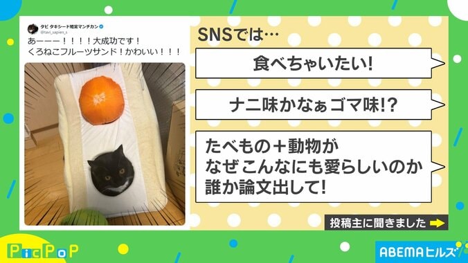 黒猫フルーツサンド