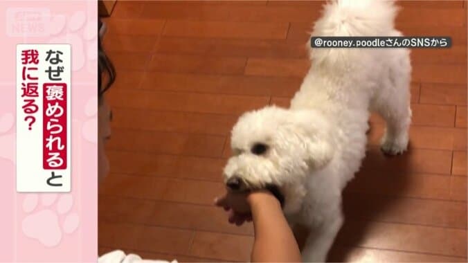 我に返るのはなぜ？