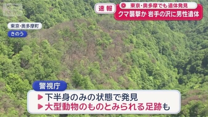 東京・奥多摩町