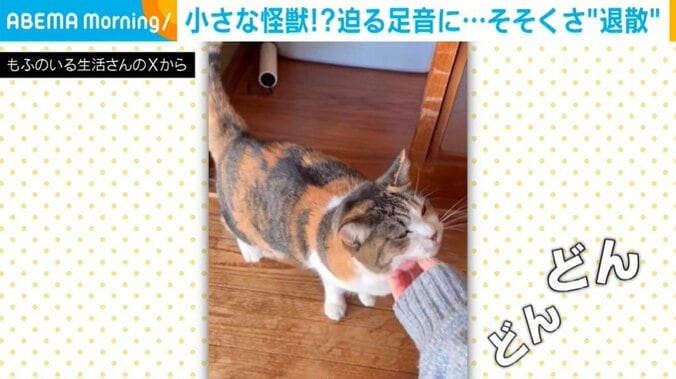 猫のミーナちゃん