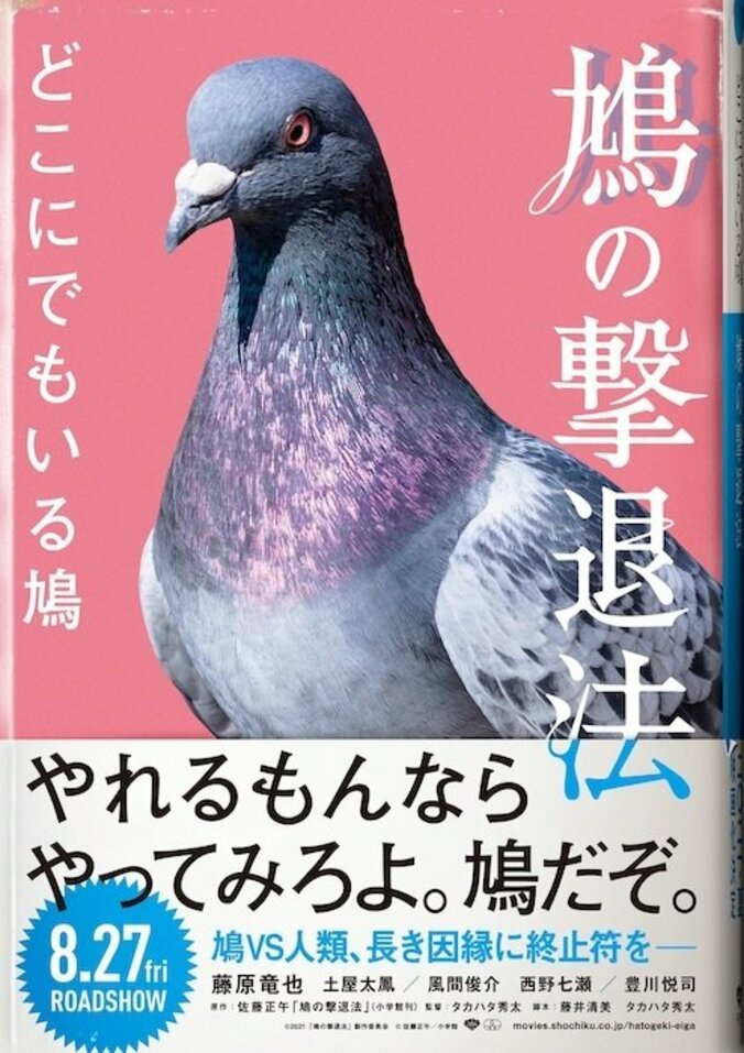 鳩と人間の長きにわたるベランダの闘争を描く映画『鳩の撃退法』公開！？ 1枚目