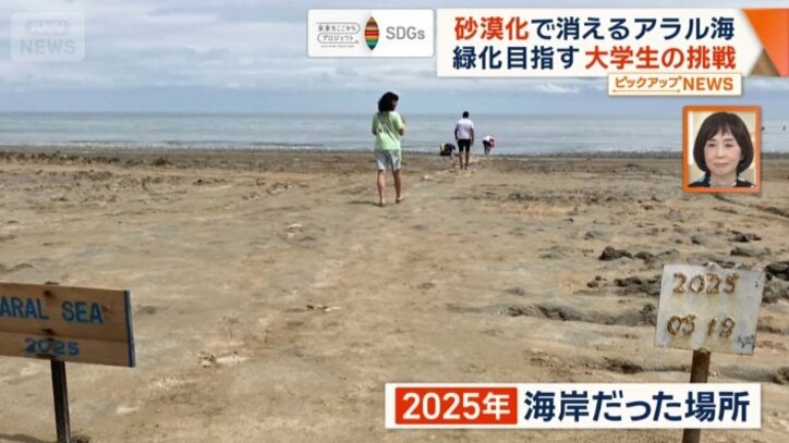看板が立っているのは2025年時点で海岸だった場所