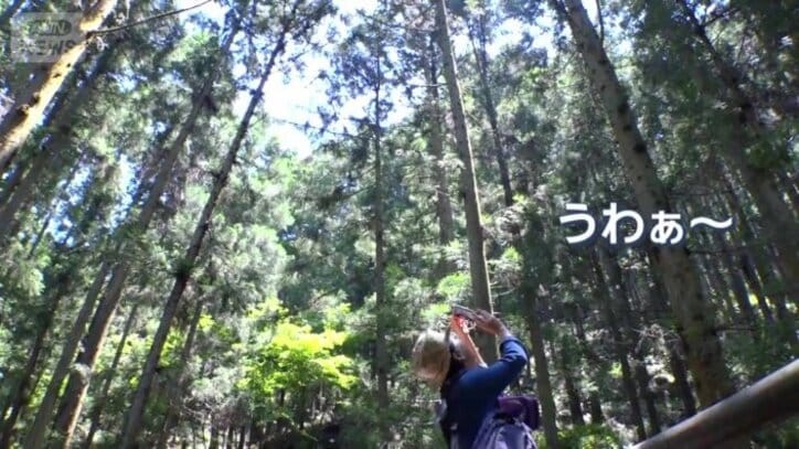 森の中へ