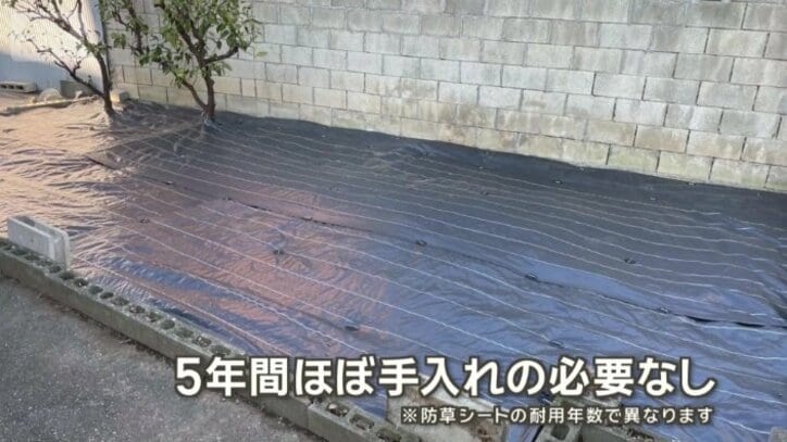 5年間は、ほとんど手入れが必要ないという