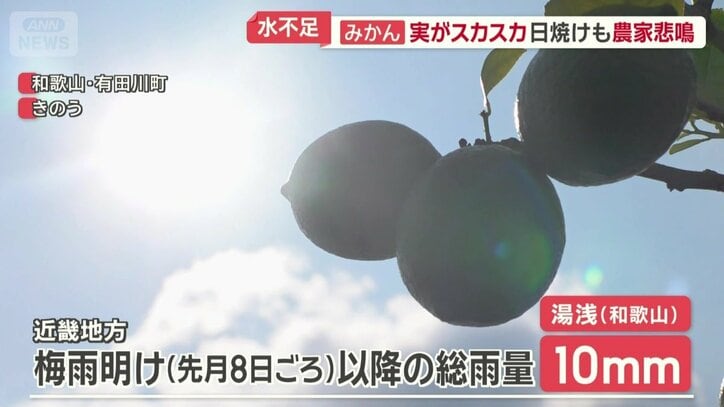 まとまった雨はほぼなし