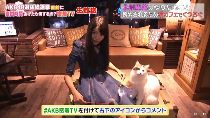 NGT48北原里英、総選挙速報の50位に「まだまだ諦めてないです！」