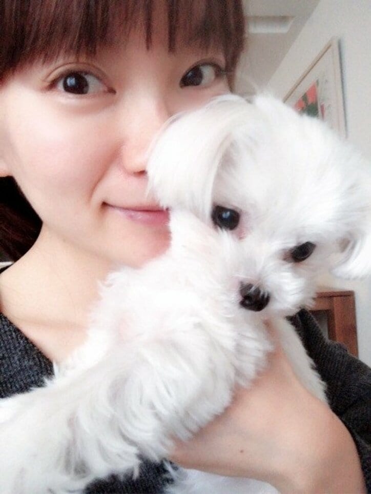 保田圭 生後2か月の息子がベビーカーデビュー 吉澤ひとみからのおさがりと明かし ご機嫌さんで乗っていてくれました 話題 Abema Times