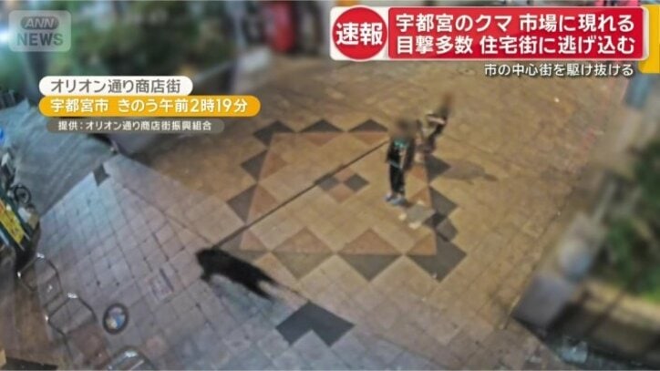 宇都宮市　オリオン通り商店街