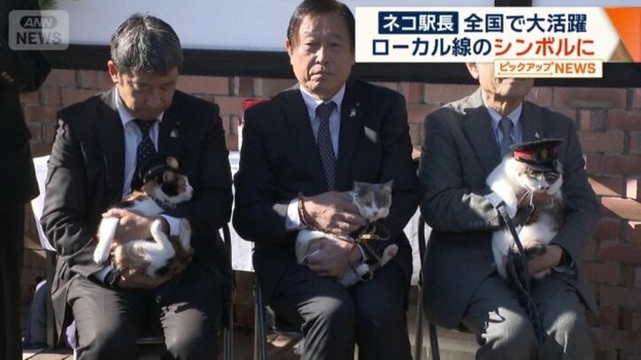 「ごたま」と「ろくたま」も仲間入り