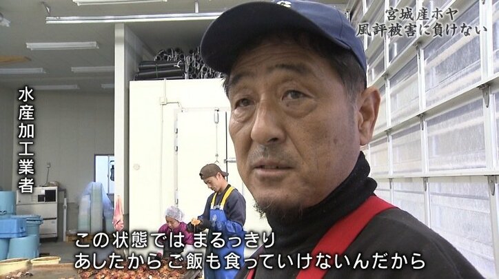 「日本産は信じられない」韓国で消えない福島第一原発事故の風評被害、それでも前を向く宮城のホヤ漁師たち