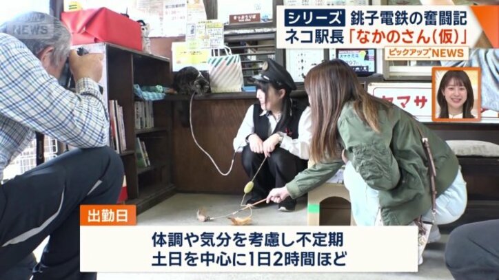 出勤日は不定期