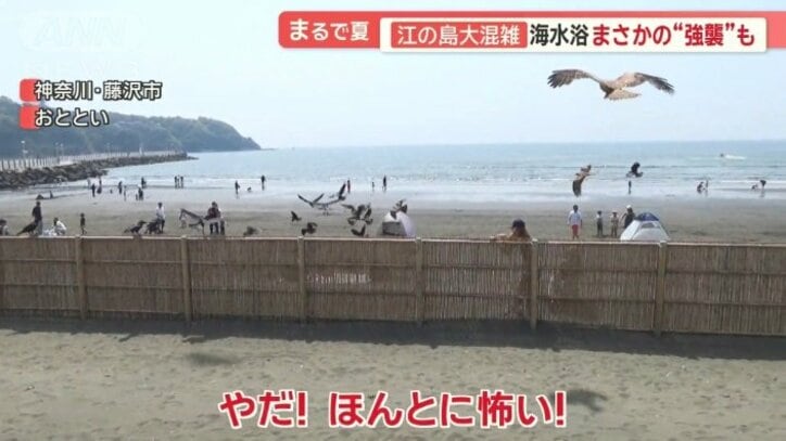 トンビやカラスに襲われている女性たち