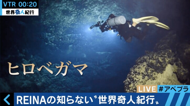 【動画】「ホホジロザメはかわいい」 ロマンを追い続ける水中探検家が海の魅力語る