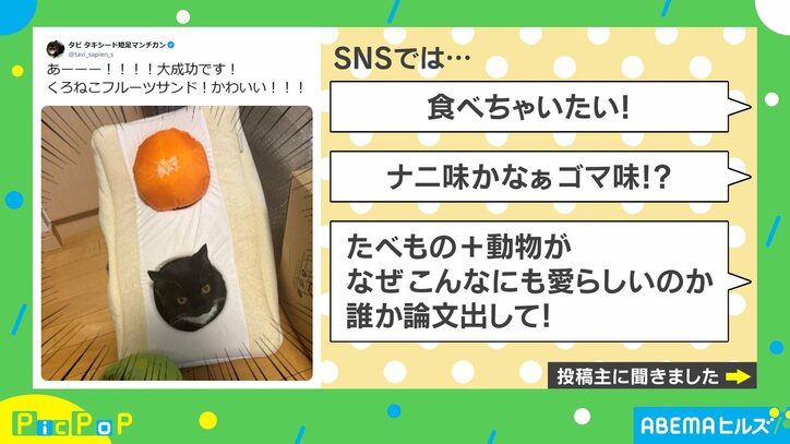 黒猫フルーツサンド