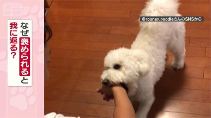 我に返るのはなぜ？