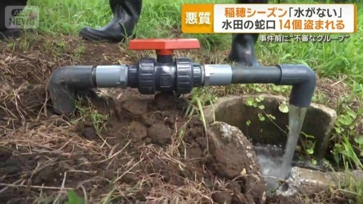 プラスチック製に交換した蛇口