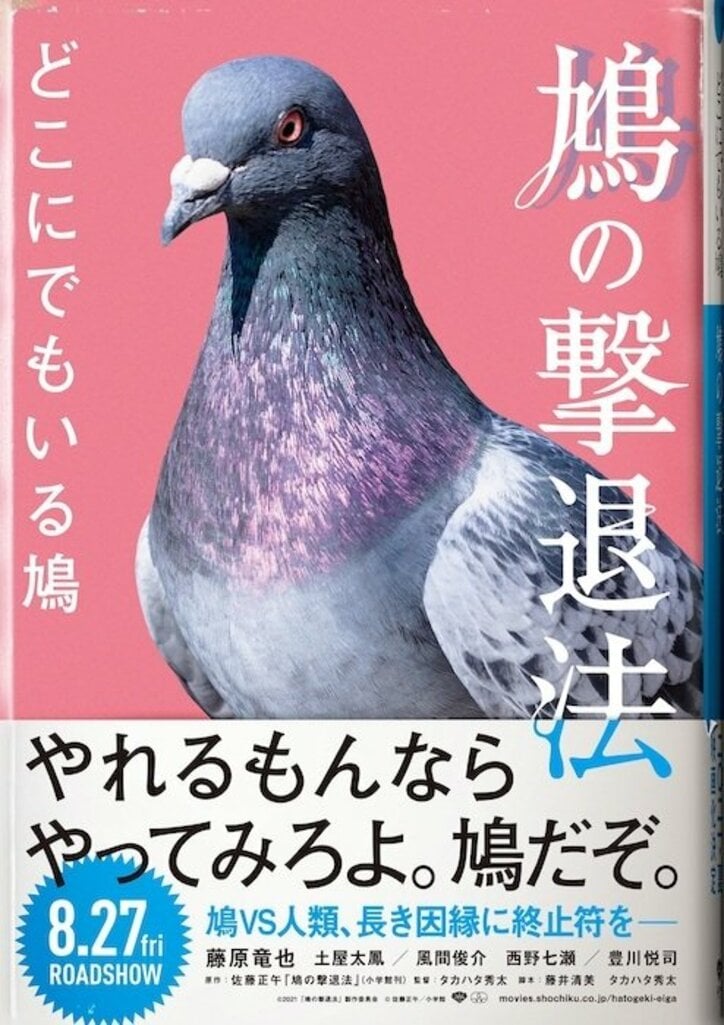 鳩と人間の長きにわたるベランダの闘争を描く映画『鳩の撃退法』公開！？