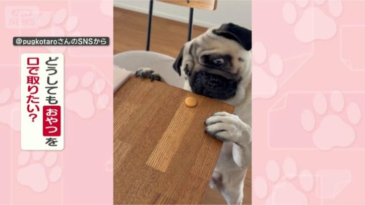 なぜ口で取りたいの？