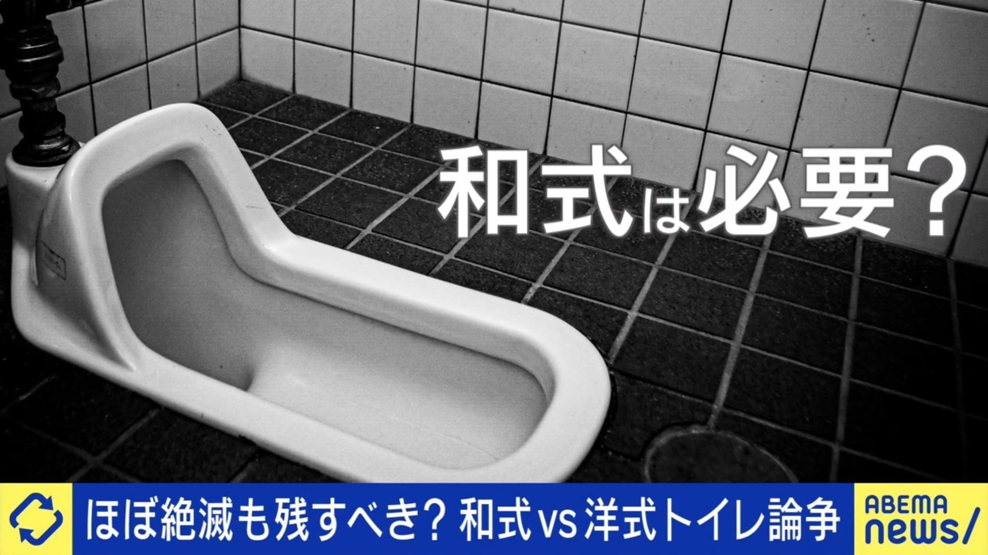 和式トイレってまだ必要？国内家庭の9割は洋式も、ひろゆき氏「海外では和式のやり方が絶対必要」しゃがみスタイルどう教える？ | 国内 | ABEMA  TIMES | アベマタイムズ