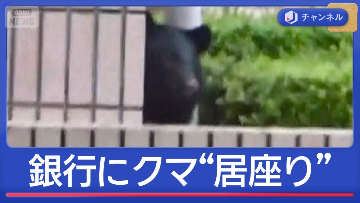 銀行にクマ“居座り”開店2時間前の捕獲作戦 | 国内 | ABEMA TIMES