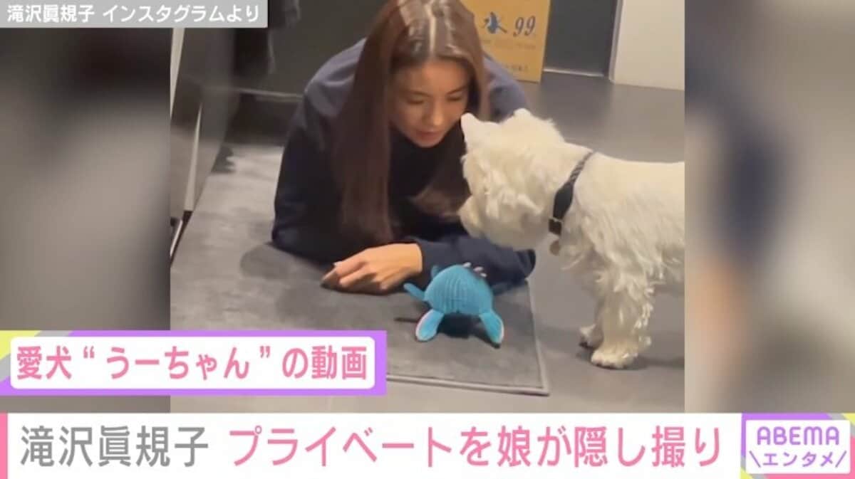滝沢眞規子、愛犬と戯れる様子を娘が隠し撮り ファンから「日常に