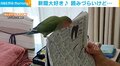 読みにくい…けど許しちゃう! 新聞の上に器用に立つインコ 邪魔されても“愛くるしい”姿に飼い主ほっこり