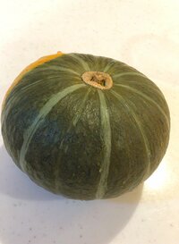 上原さくら『初めて丸ごと買いました!』