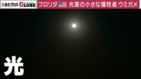 【映像】星空や生態系にも影響？光害の実態