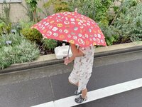 辻希美『今日は』