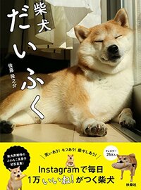 【Amazon.co.jp限定】オリジナルシール付 柴犬だいふく
