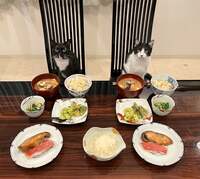 藤あや子『昨日の晩ごはん』