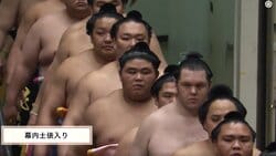 「この生物は何だ」伯乃富士、“異彩”を放つ化粧まわしに熱視線「おっちかわいい」