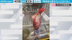 クレーンゲームでキャッチ失敗…と思いきや“驚きの展開”で景品ゲットに「公共の場で声出して笑ってしもた」と反響