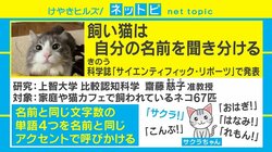 上智大の研究「飼い猫は自分の名前を聞き分ける」に「知ってた」の声