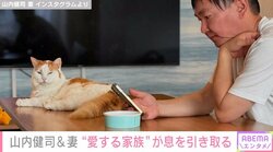 かまいたち・山内健司＆妻、“愛する家族”が息を引き取ったことを報告 「何が正解なのかわからない…」