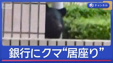 銀行にクマ“居座り”開店2時間前の捕獲作戦 | 国内 | ABEMA TIMES