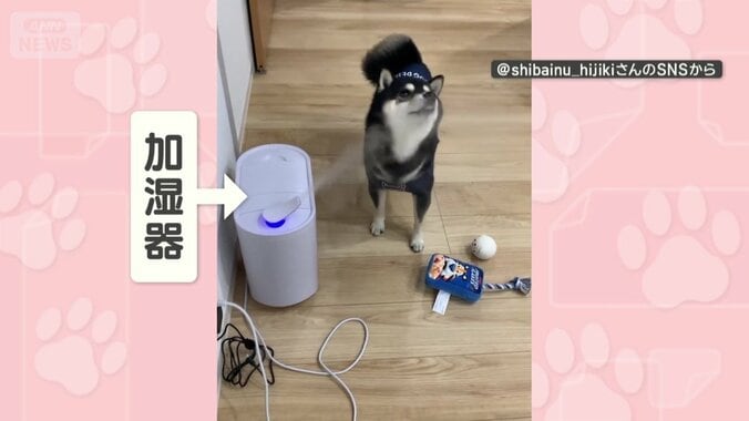 加湿器の近くにいると…