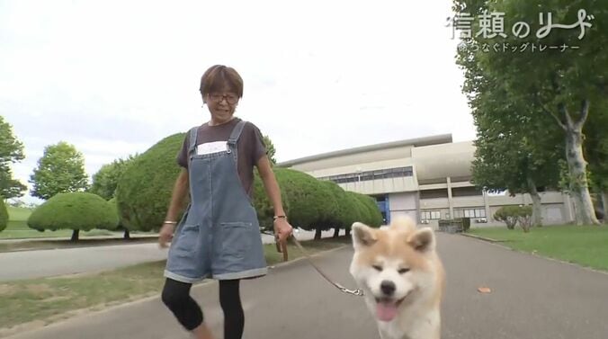 ドッグトレーナーの鈴木明子さんと秋田犬の大河