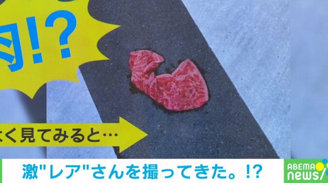 「良い肉が落ちてる」道路に落ちていた“紛らわしい”落とし物に「めっちゃ笑ったw」「二度見する」と爆笑と驚きの声 1枚目