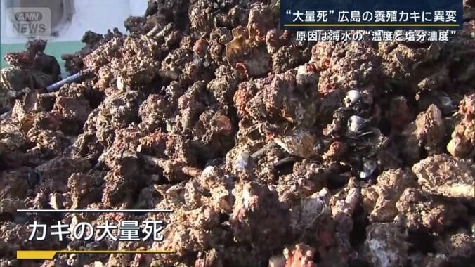 カキの大量死