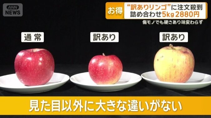 見た目以外に大きな違いがない