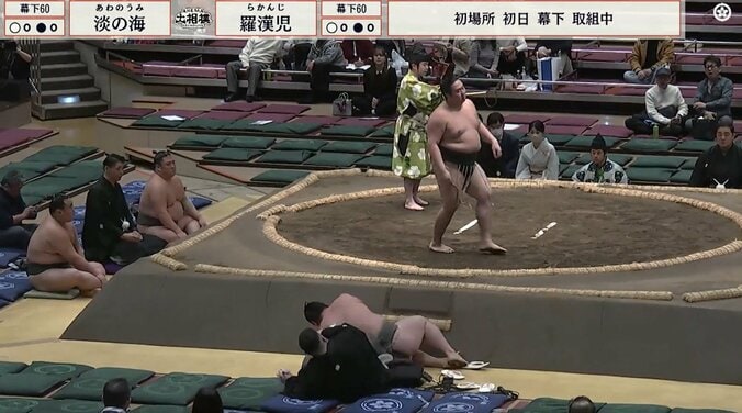 淡の海は、土俵下で審判を務めていた大鳴戸親方に直撃