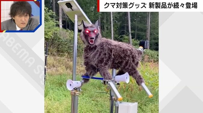 提供：（株）ウルフ・カムイ