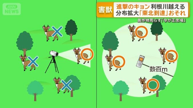 鳴き声なら「広い範囲で検出できる」