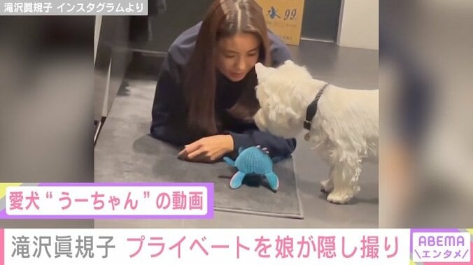 滝沢眞規子、愛犬と戯れる様子を娘が隠し撮り ファンから「日常にめちゃ親近感」と反響 1枚目