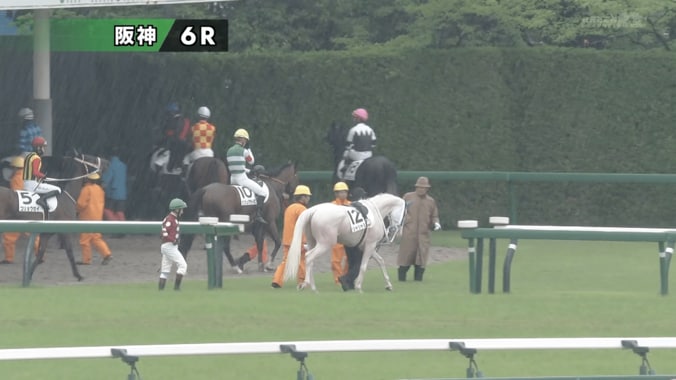 【映像】まさに“じゃじゃ馬”…気性の荒さが出てしまったシーン