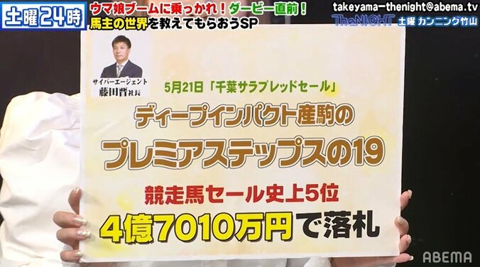 藤田社長も一括購入!? 4億越えの高額競走馬の購入方法にヒコロヒーも絶句 2枚目