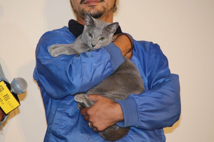 沢尻エリカ、映画で共演した猫を譲り受けメロメロ「本当に出で立ちが美しい」